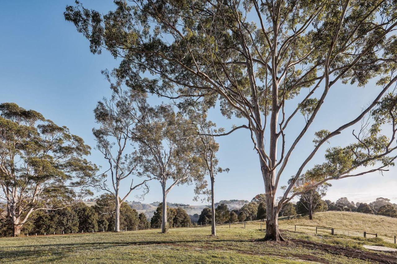 99 Acres Bangalow Retreat Экстерьер фото
